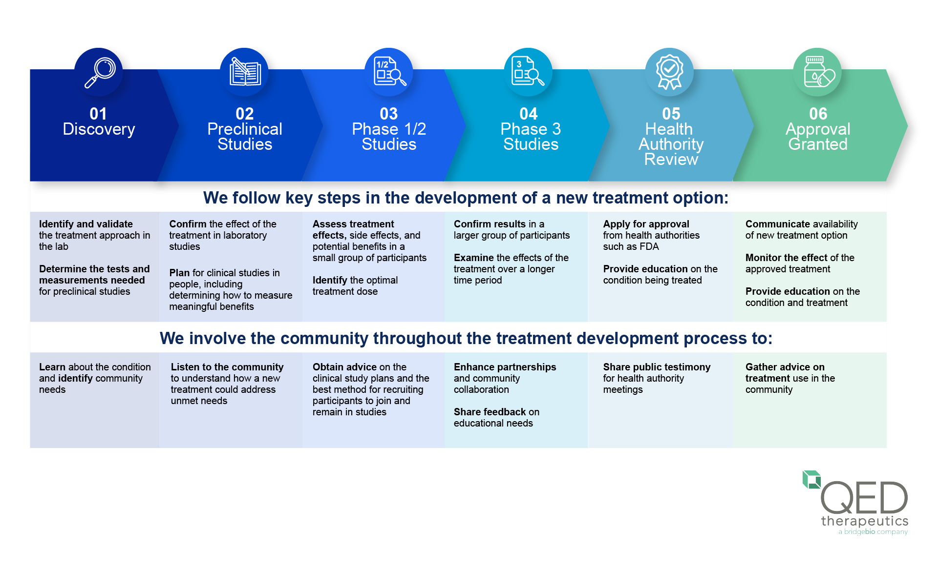 An infographic outlining the six phases of drug development. Phase 1 is 'Discovery,' where identification and validation of the treatment approach occur. Phase 2 is 'Preclinical Studies,' which involves confirming the effects of the treatment in laboratory studies. Phase 3 encompasses 'Phase 1/2 Studies,' assessing treatment effects, side effects, and dosages in a small group of participants. Phase 4, 'Phase 3 Studies,' confirms results in a larger group of participants. Phase 5 is 'Health Authority Review,' where the treatment is reviewed and approved by health authorities. Finally, Phase 6 is 'Approval Granted,' where treatment availability is monitored, and education on the condition and treatment is provided. Below these phases, the infographic emphasizes community involvement throughout the development process with strategies like listening to community needs, inviting dialogue on the condition and treatment, ensuring community participation, sharing results transparently, and gathering advice on treatment use in the community.
