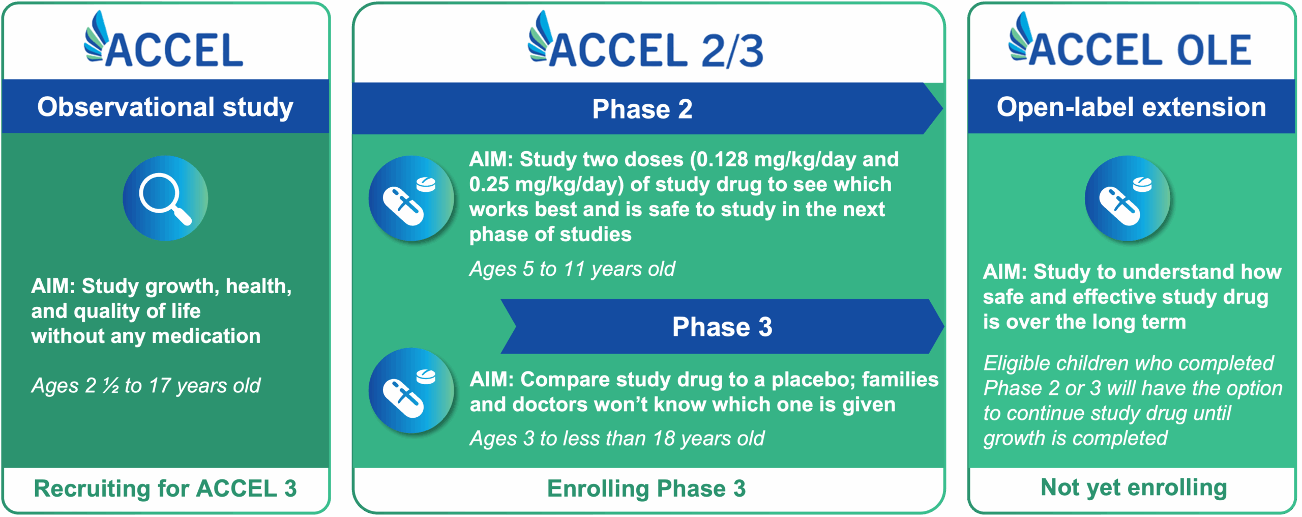 Infographic showing the ACCEL clinical study phases. First panel: Observational study — studies growth, health, and quality of life without medication for children ages 2½ to 17; currently recruiting. Second panel: ACCEL 2/3 — Phase 2 tests two doses of the study drug for safety and effectiveness in children ages 5 to 11. Phase 3 compares the study drug to a placebo for ages 3 to under 18; currently enrolling. Third panel: ACCEL OLE (Open-label extension) — studies long-term safety and effectiveness; eligible children from Phases 2 or 3 may continue treatment until growth is complete; not yet enrolling.