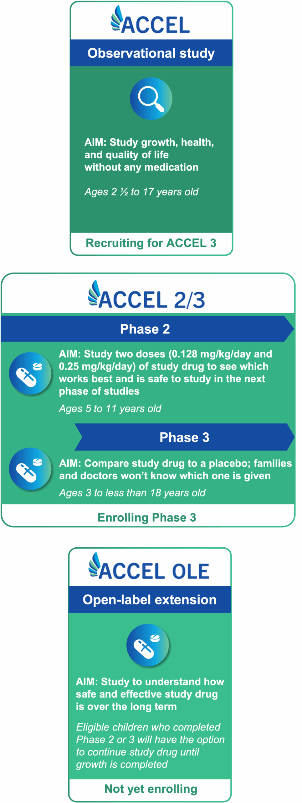 Infographic showing the ACCEL clinical study phases. First panel: Observational study — studies growth, health, and quality of life without medication for children ages 2½ to 17; currently recruiting. Second panel: ACCEL 2/3 — Phase 2 tests two doses of the study drug for safety and effectiveness in children ages 5 to 11. Phase 3 compares the study drug to a placebo for ages 3 to under 18; currently enrolling. Third panel: ACCEL OLE (Open-label extension) — studies long-term safety and effectiveness; eligible children from Phases 2 or 3 may continue treatment until growth is complete; not yet enrolling.