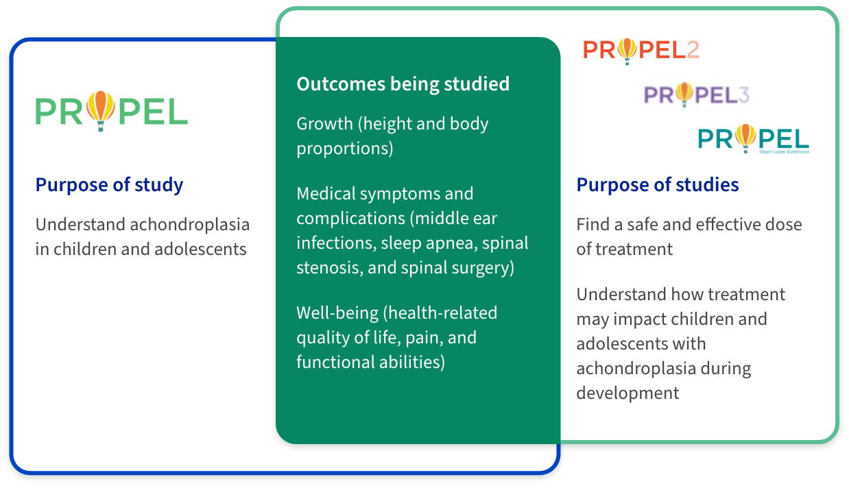 Three side-by-side cards with 'PROPEL' logos. The left card titled 'Purpose of study' outlines that PROPEL's focus is to understand achondroplasia in children and adolescents. The middle card lists 'Outcomes being studied,' including growth, medical symptoms like middle ear infections, sleep apnea, and spinal surgery, and well-being factors like quality of life, pain, and functional abilities. The right card, with 'Purpose of studies,' explains PROPEL2 and PROPEL3, which aim to find a safe and effective dose and assess the treatment’s impact on children with achondroplasia.